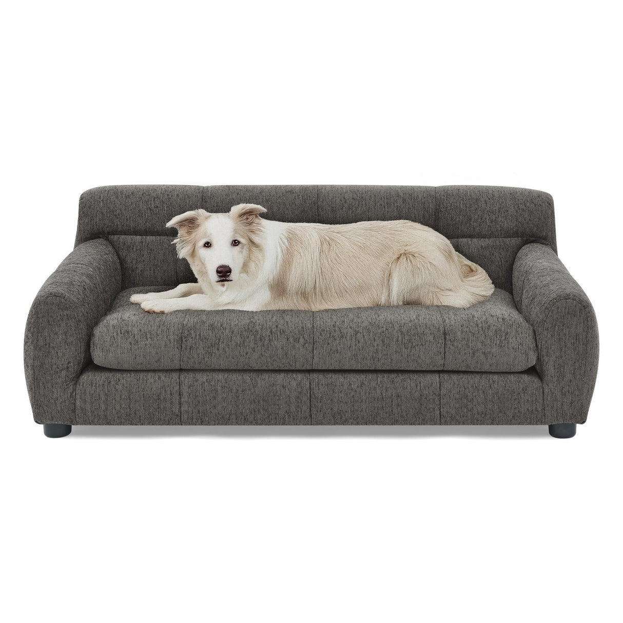 Modern Dark Gray Pet Sofa with Backrest and Armrests