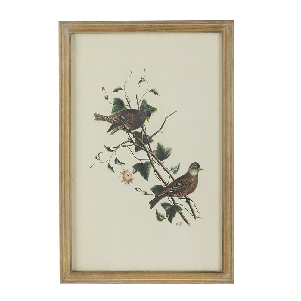 Set of 4 Bird Framed Prints