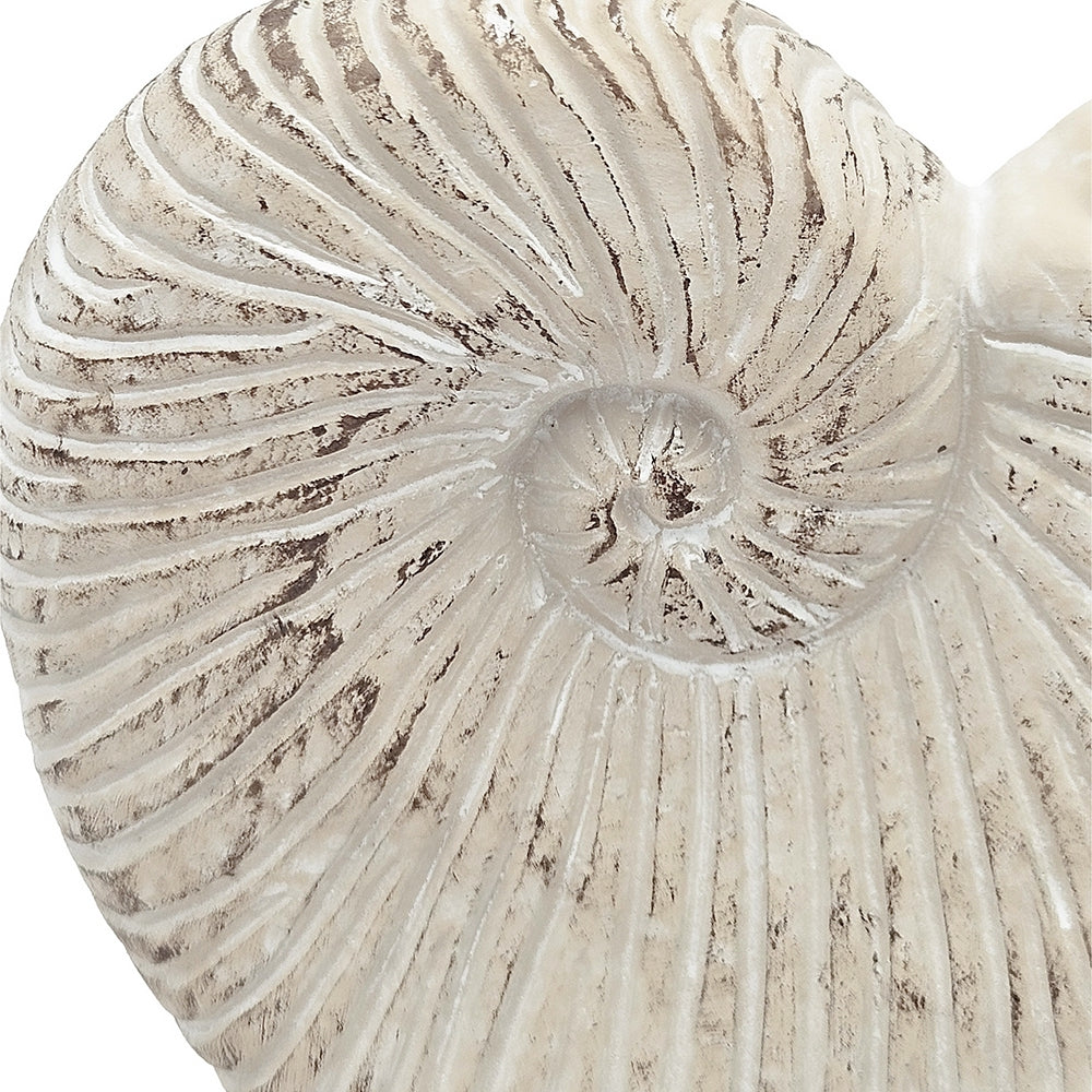 11.5x6.7x7.7 Sand and Cement Nautilus Shell Planter with Textured Beige Finish