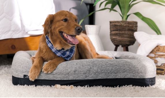 Performance Dog Bed with Ventilated Foam - Grey