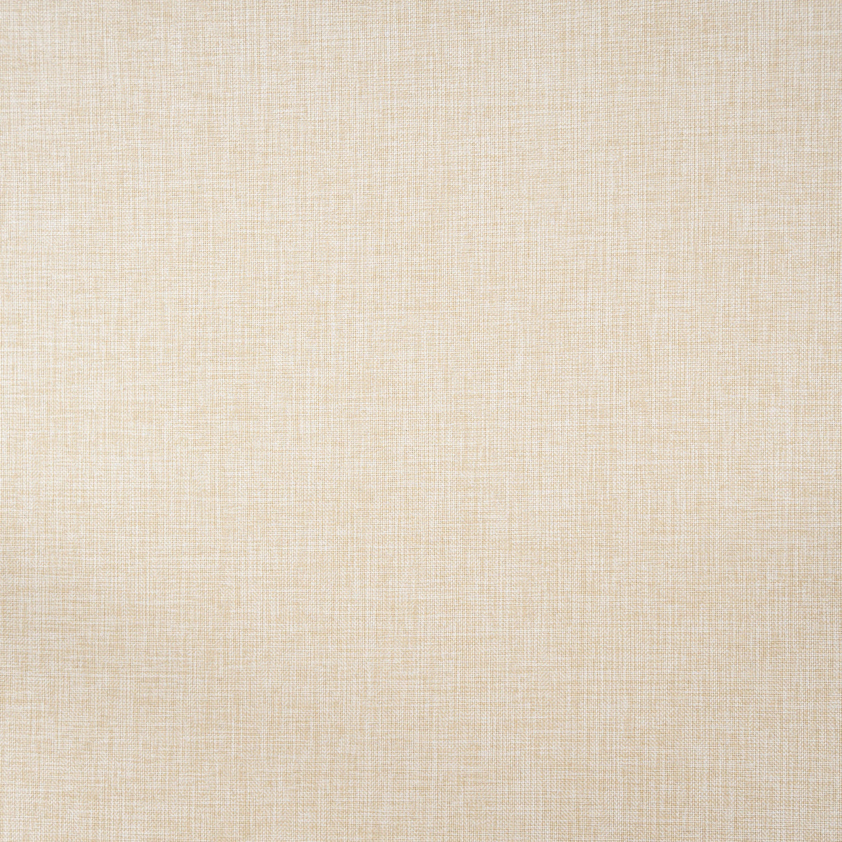 Preston Outdoor Dining Chair with Cushion Set