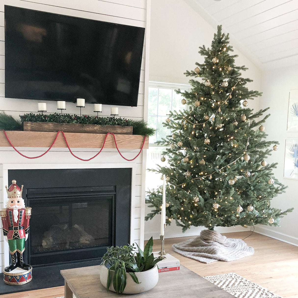 7.5-Ft.-Foxtail-Pine-Christmas-Tree-Christmas-Trees