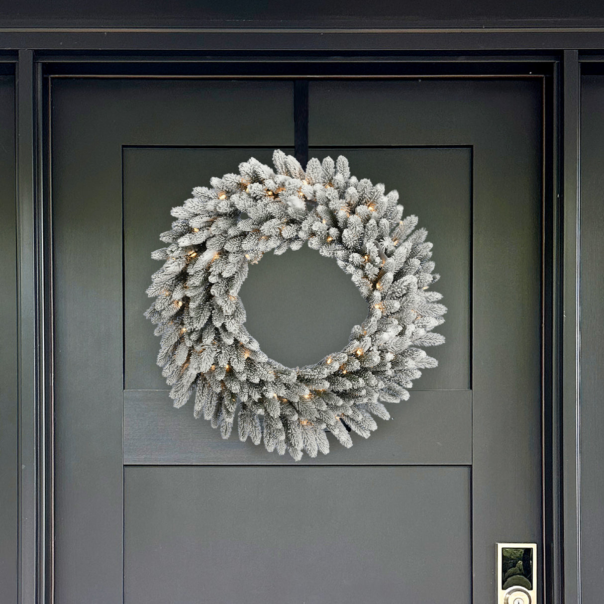 24-In. Icy Frost Snow Flocked Wreath with Warm White LED Lights