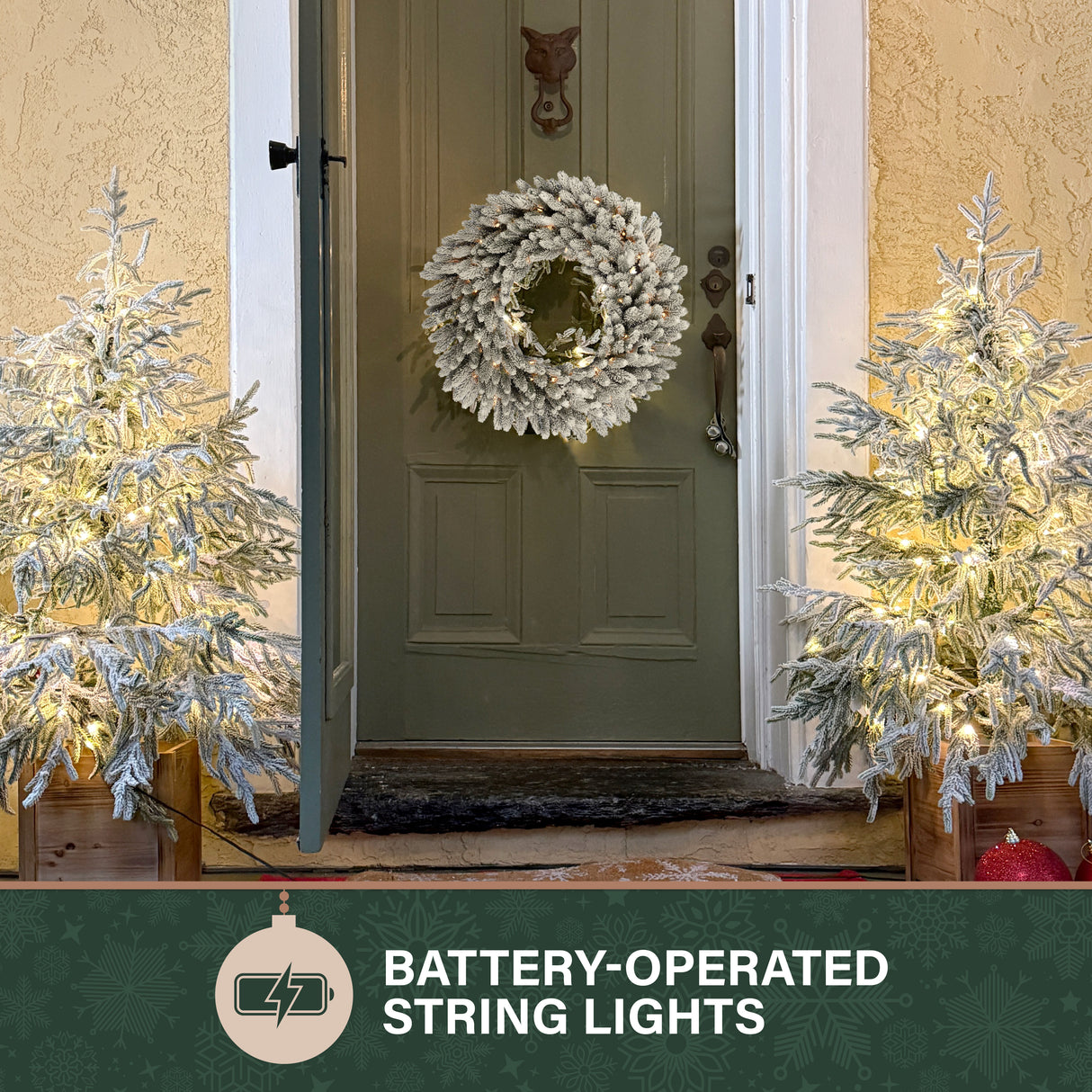 24-In. Icy Frost Snow Flocked Wreath with Warm White LED Lights