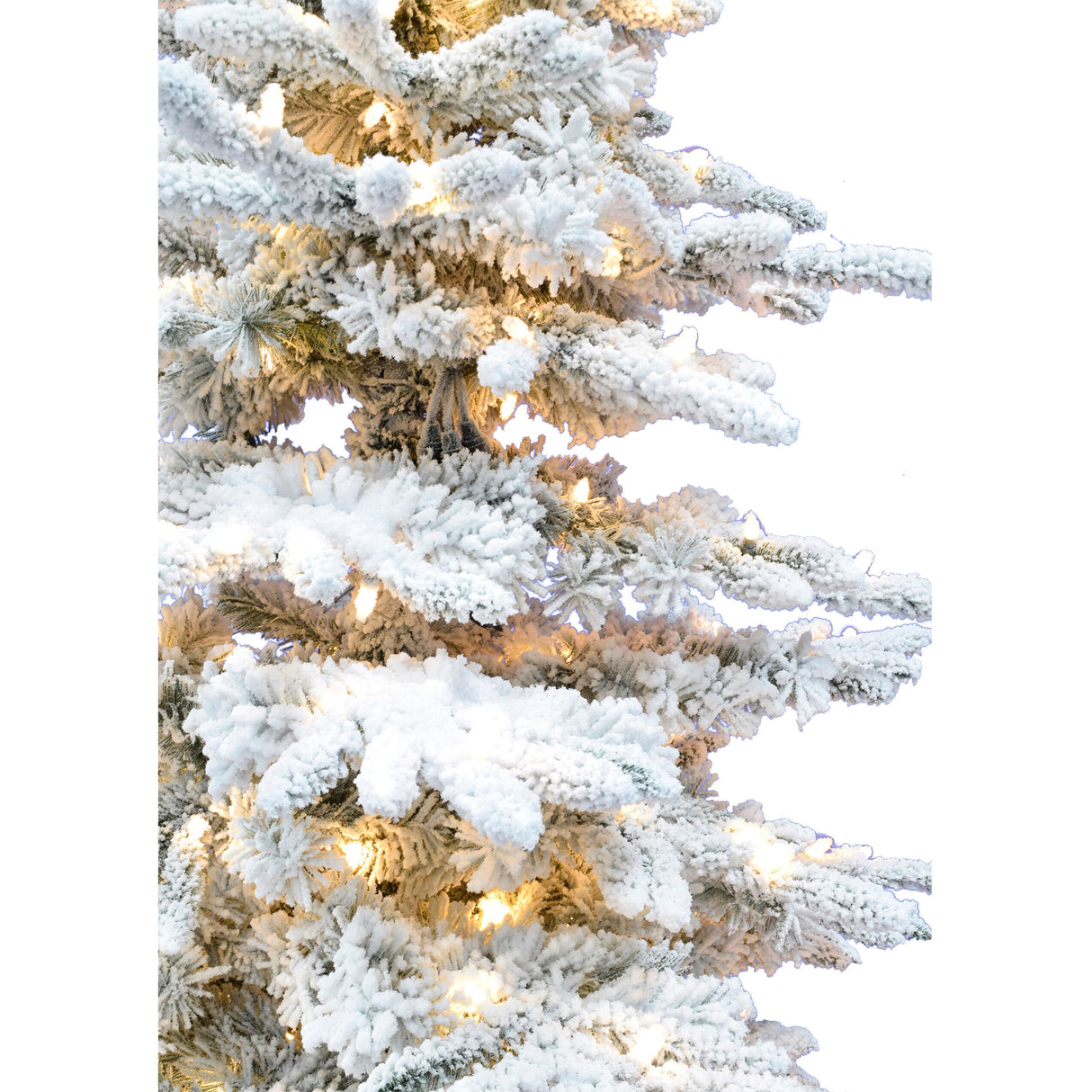 10-Ft. Flocked Pine Valley Christmas Tree with Warm White LED Lights