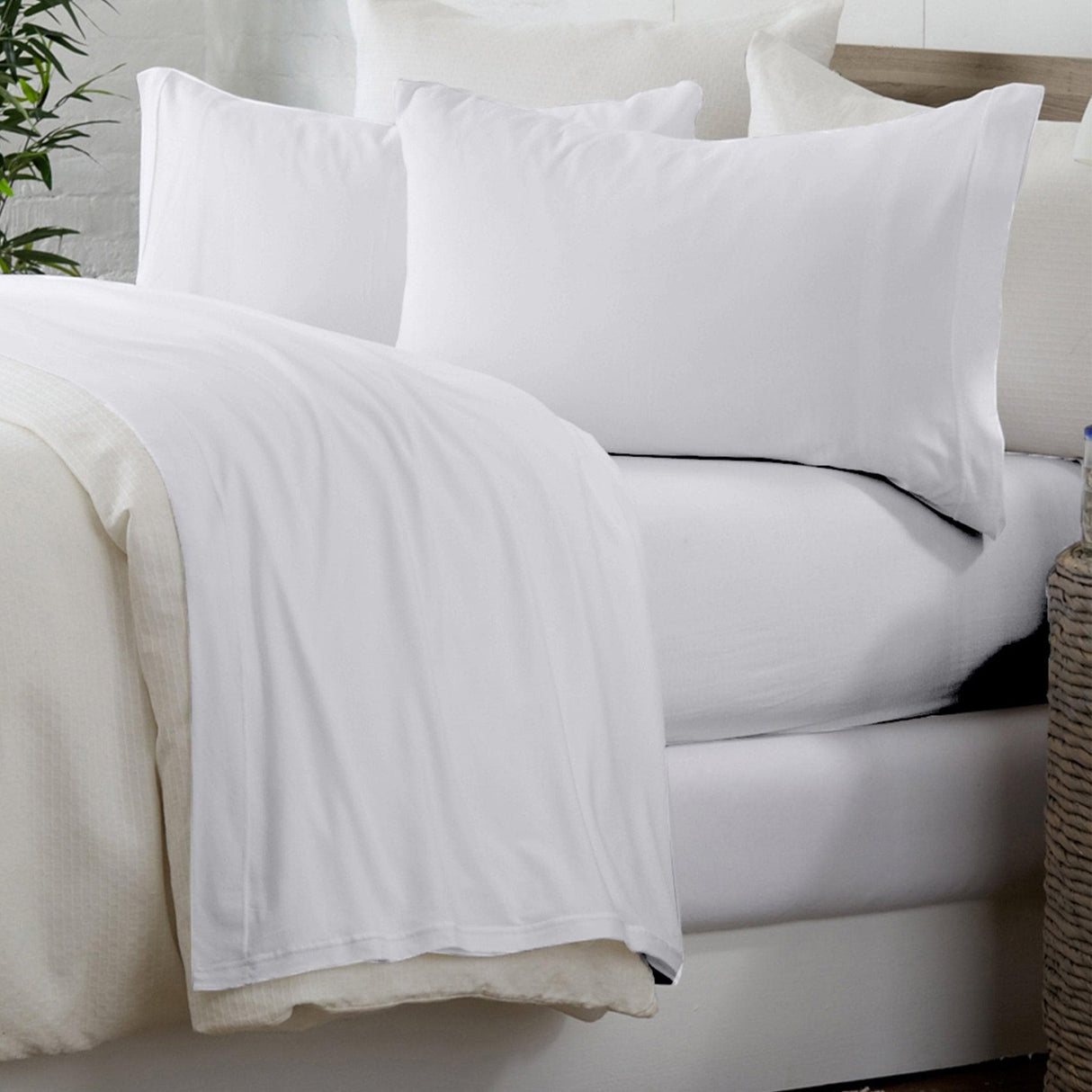 4-Piece Cotton Sheet Set - Murphy Collection