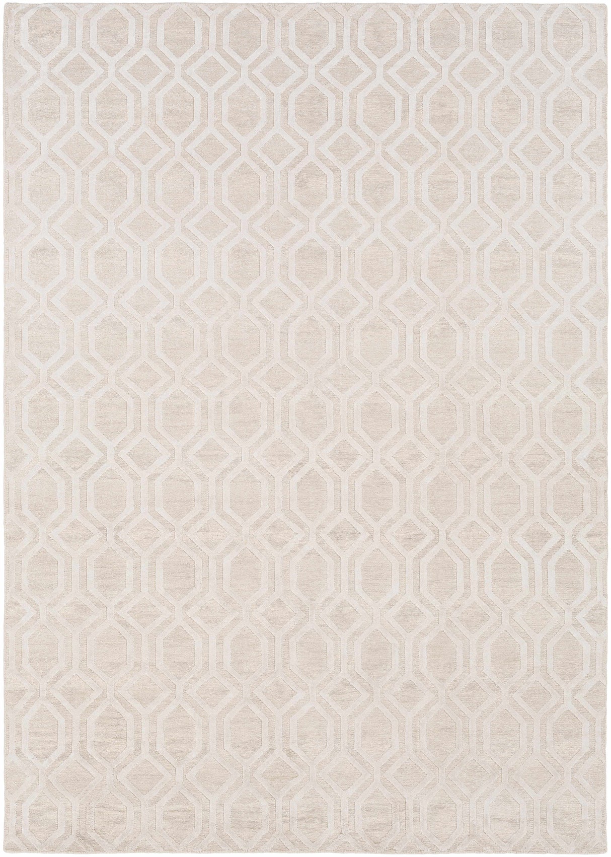 Haynes Area Rug - Clearance