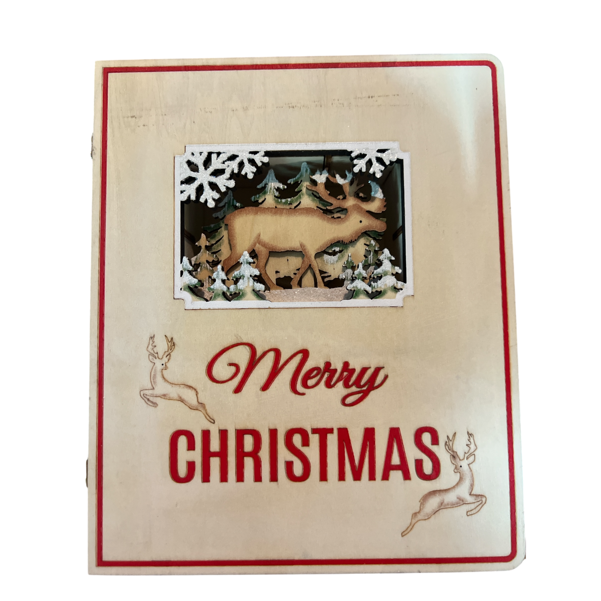Merry Christmas Advent Book