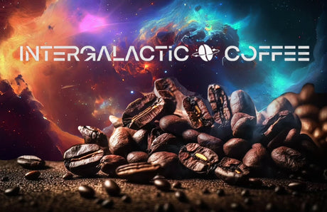 1-lb-whole-bean-Intergalactic-Planetary-Blend-Coffee-roasted-whole-bean