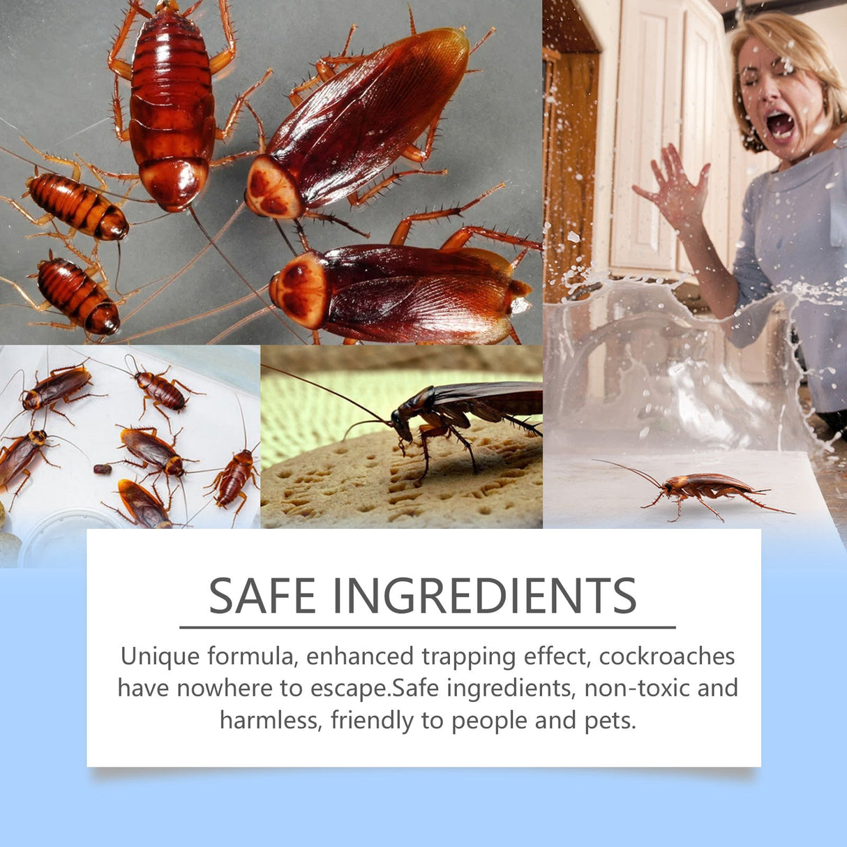 Cockroach Bait Station Paste 8pcs – Natural Formula, 90 Days Protection