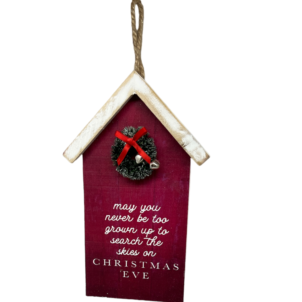 Search The Skies Wooden Ornament