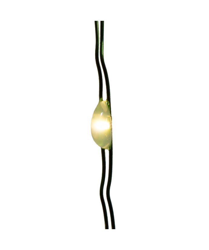 50-Light Battery Operated Warm White Twinkle Fairy Lights With Green Wire