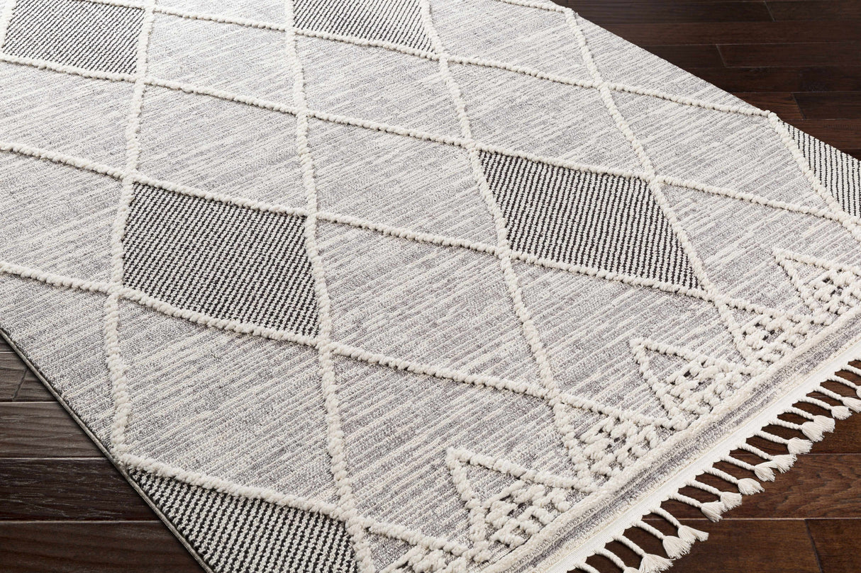 Norvelt High/Low Pile Rug with Tassels