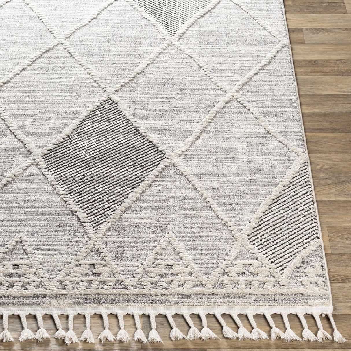 Norvelt High/Low Pile Rug with Tassels
