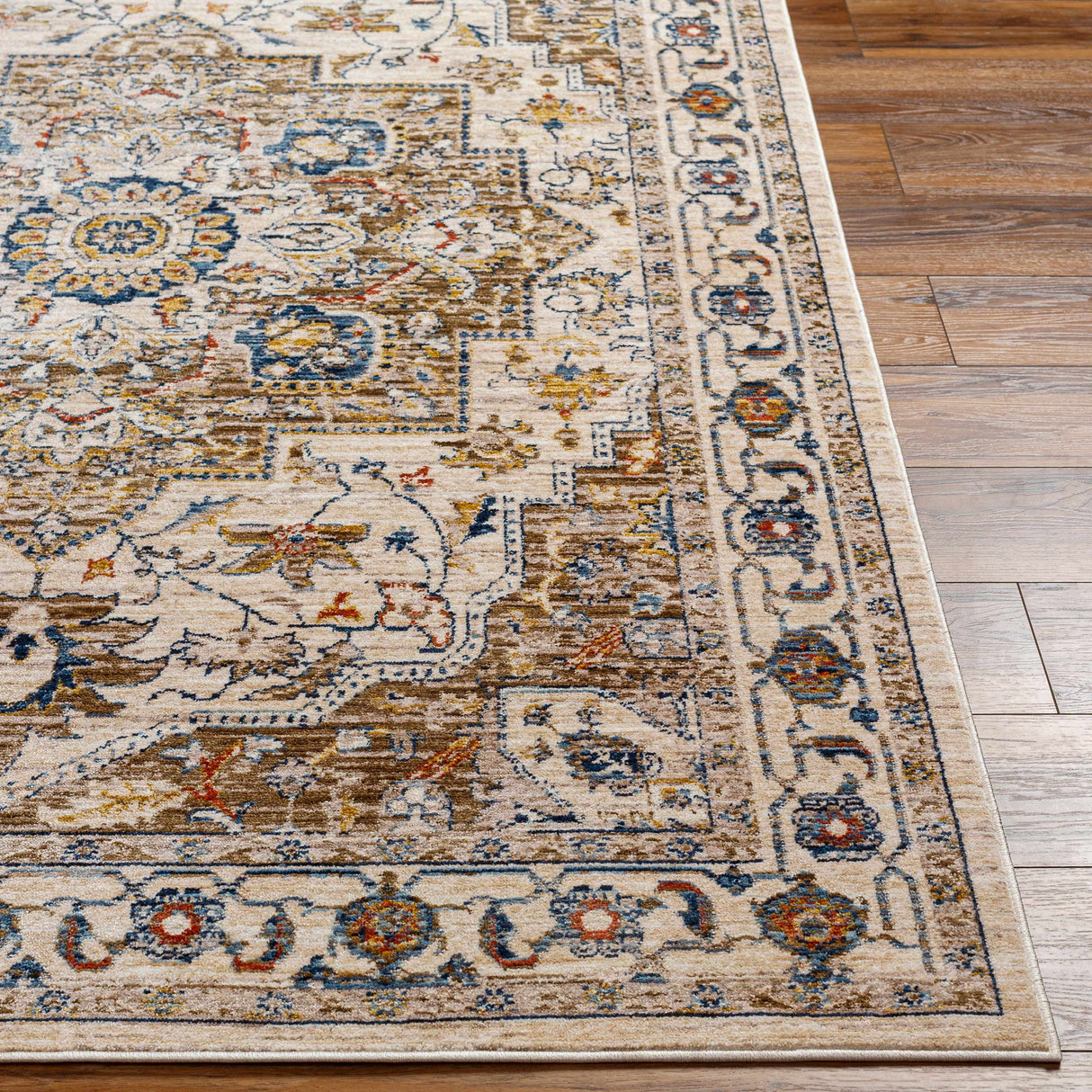 Anas Traditional Style Rug - Clearance