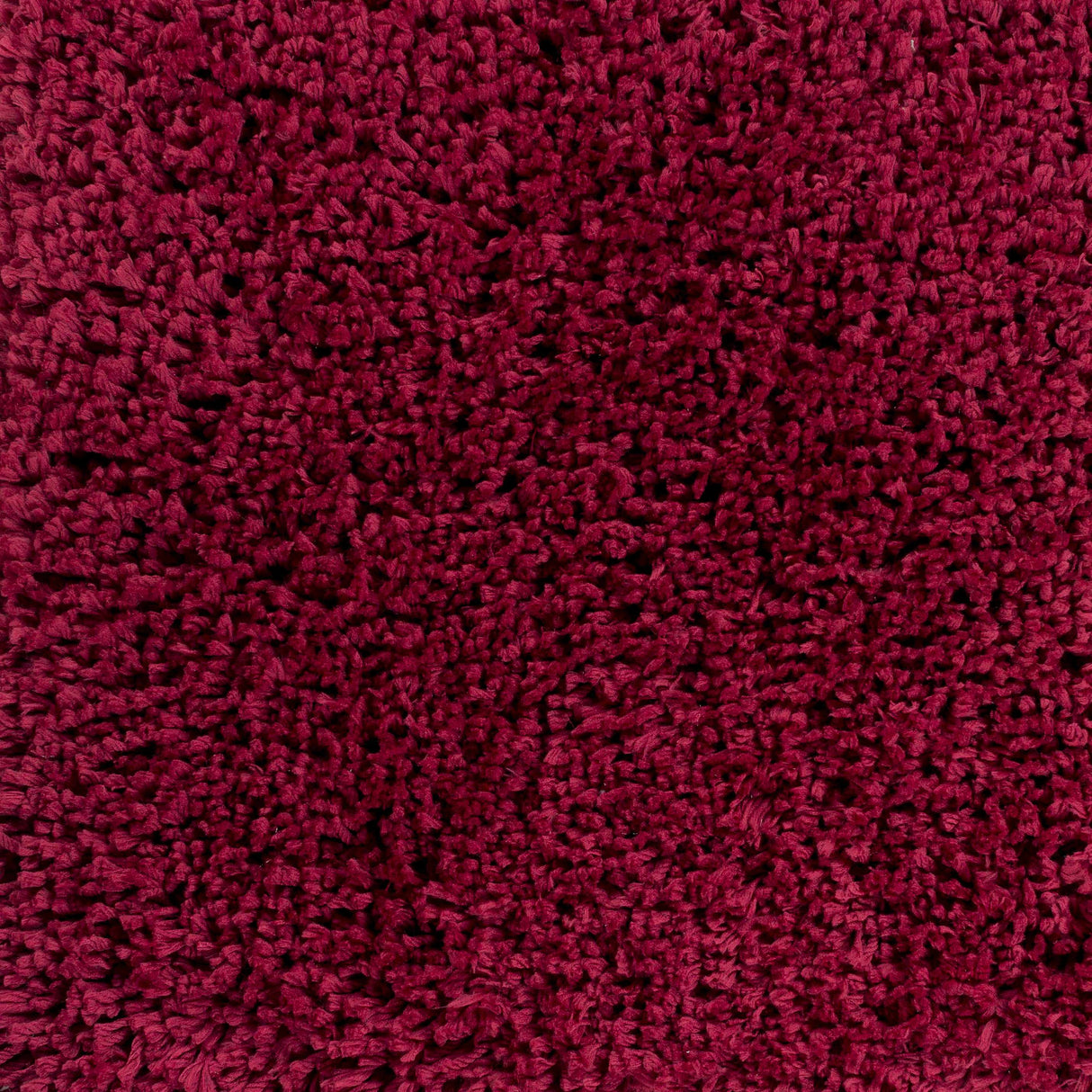 Porter Area Rug - Clearance