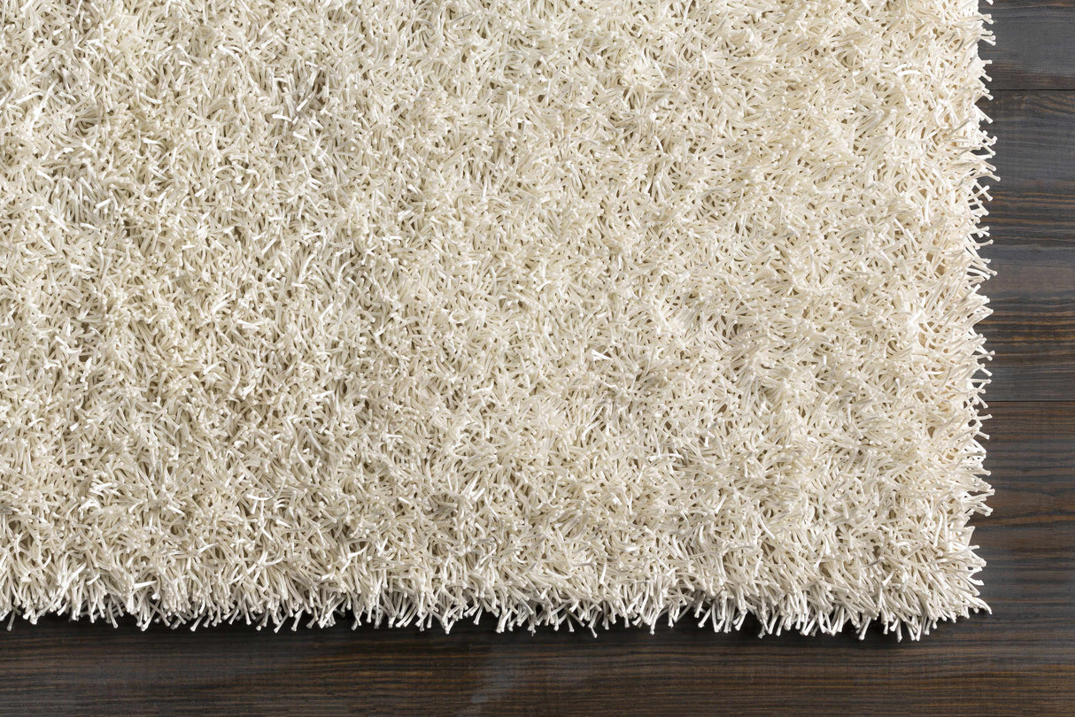 Browder 3x4 Solid Cream Shag Rug - Clearance