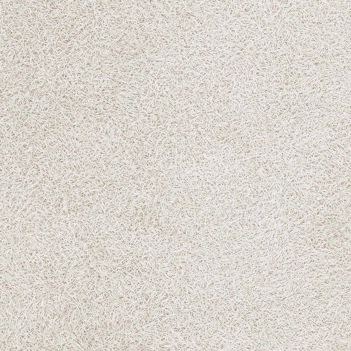 Browder 3x4 Solid Cream Shag Rug - Clearance