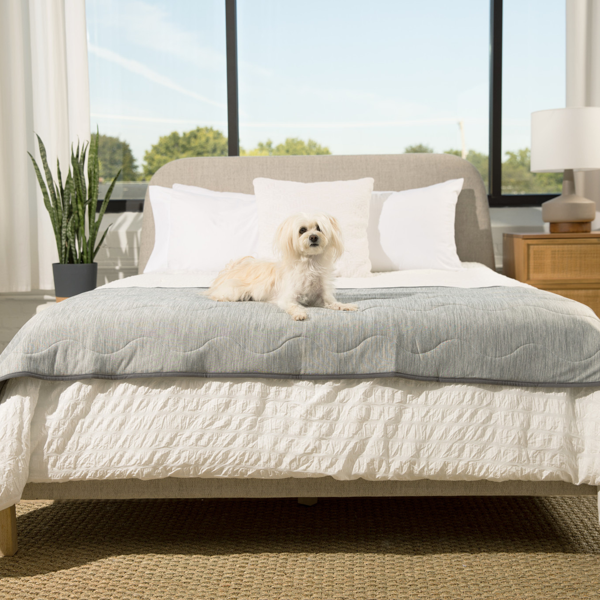 PupChill™ Cooling Waterproof Runner Blanket - Arctic Grey