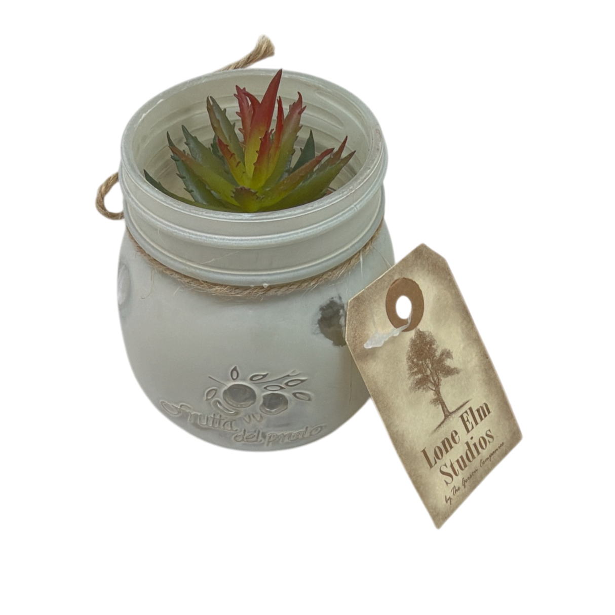 Faux Echeveria Succulent in Glass Jar