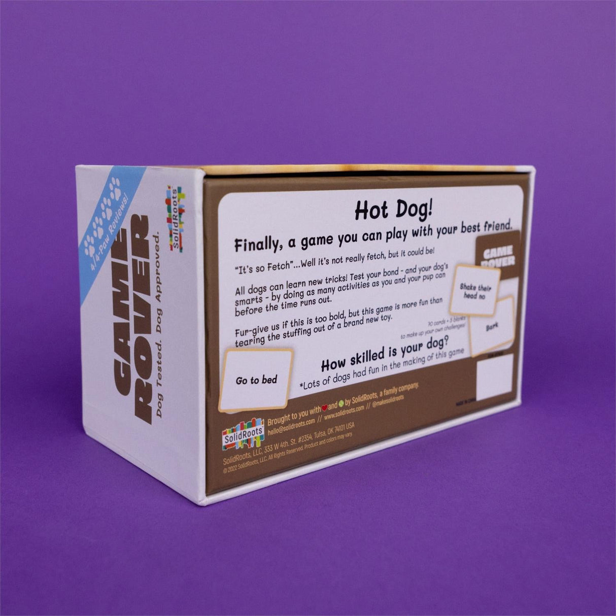 Game Rover - A Game You Play With Your Dog