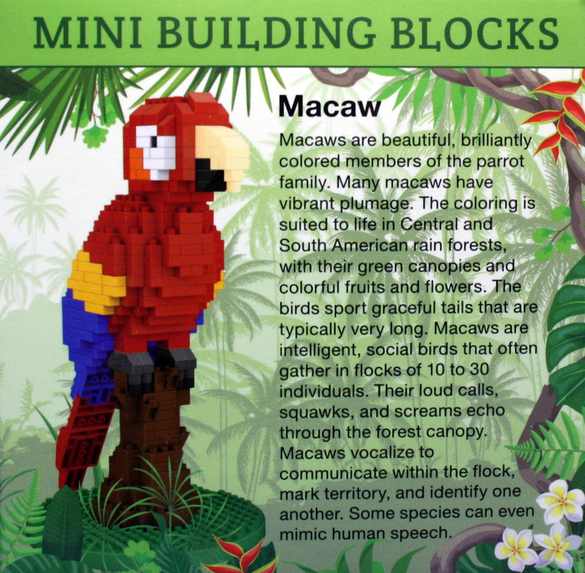 Mini Building Blocks - Macaw