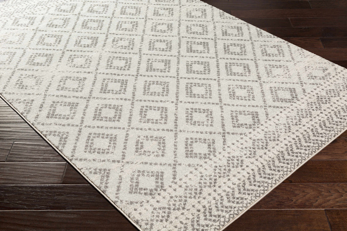 Romeoville Area Rug - Clearance
