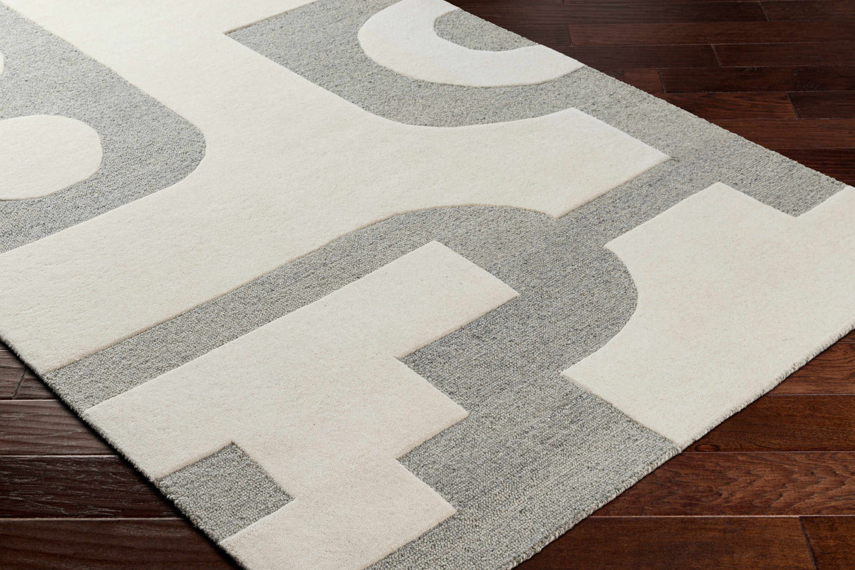 Aiden Area Rug - Clearance