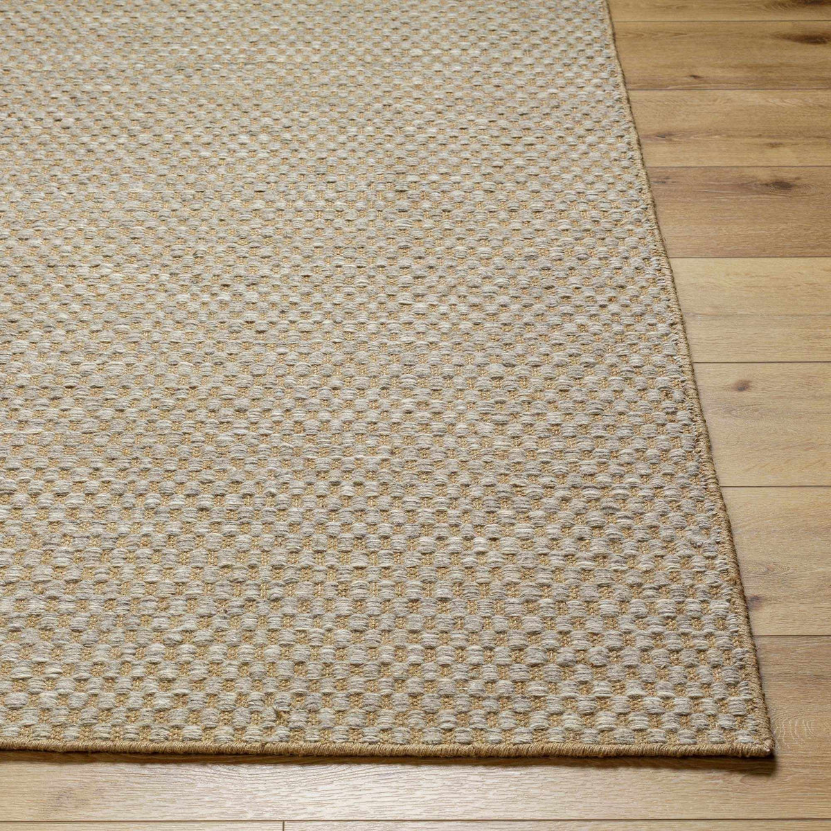 Ayers Beige & Gray Area Rug - Clearance