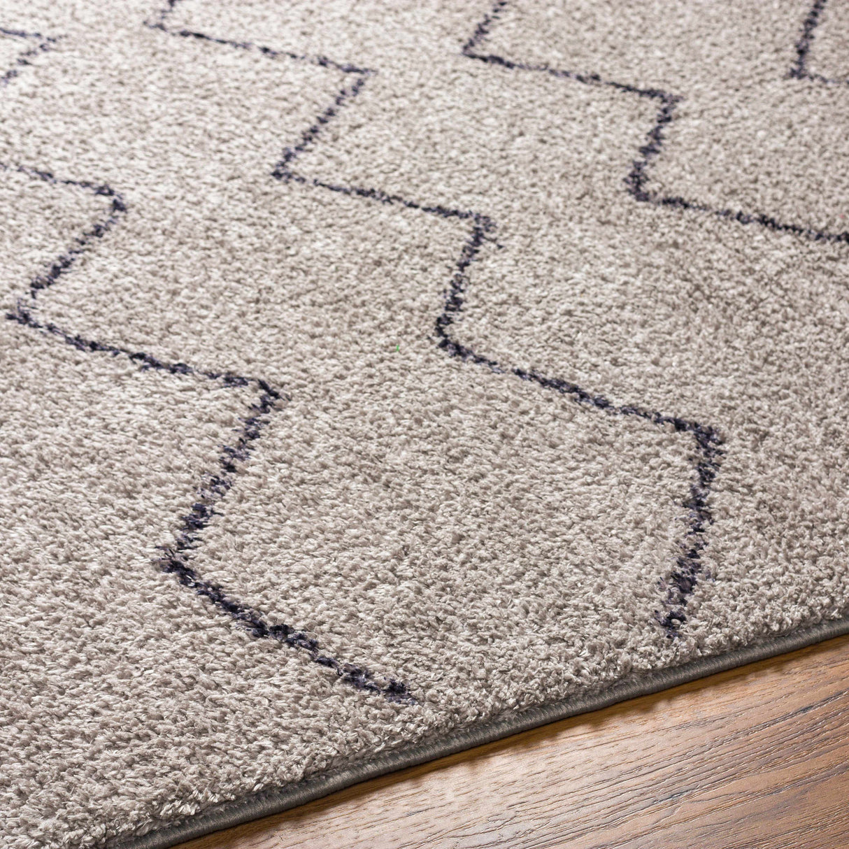 Amro Washable Area Rug - Clearance
