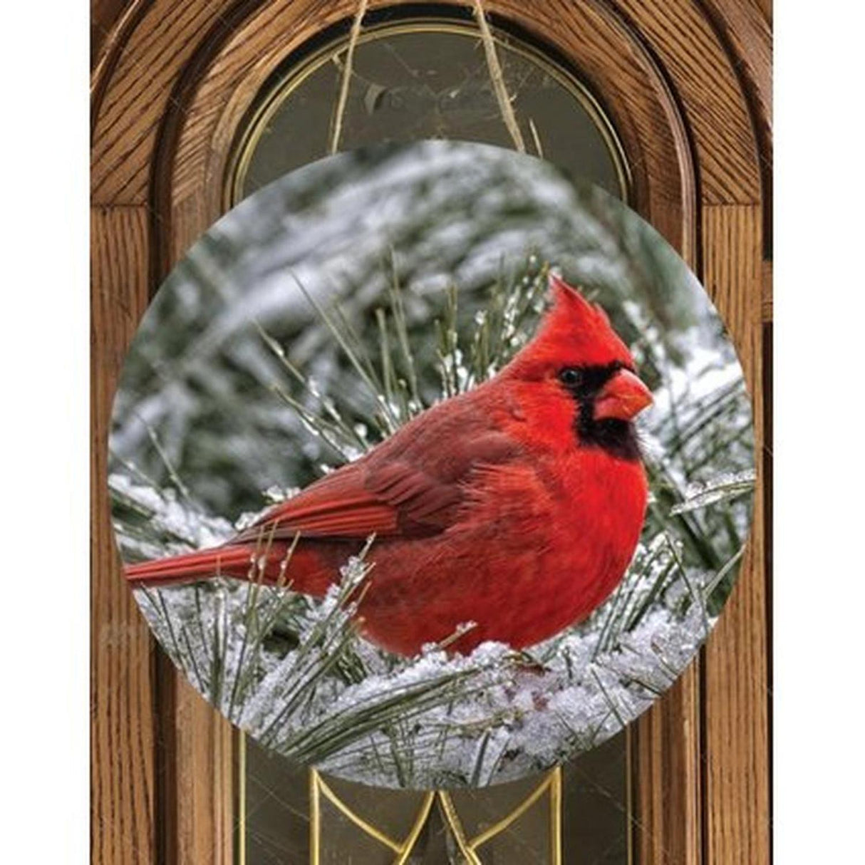 Snowy Branch Cardinal Bird Sign