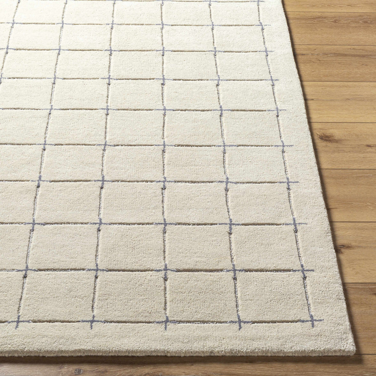 Sanvi Tan Area Rug