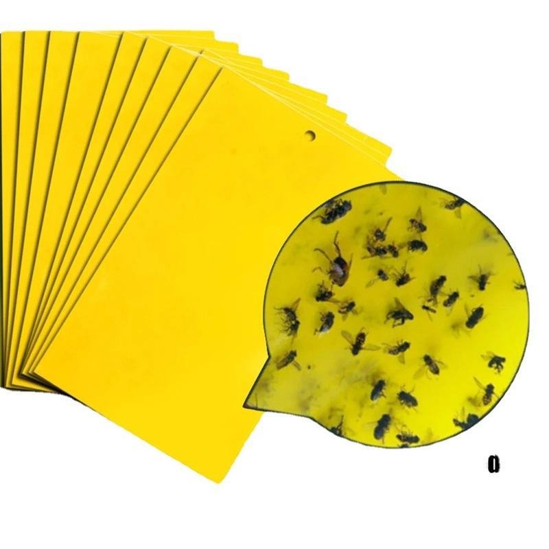 Yellow Sticky Fly Traps 10pcs – Double-Sided Glue Boards for Flies, Aphids & Whitefly