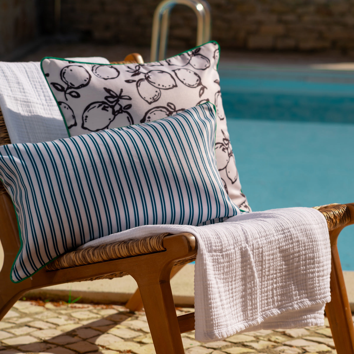 Lemone Outdoor Throw Pillow