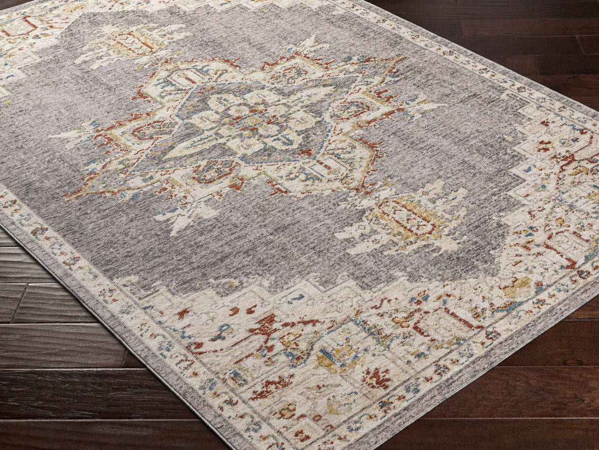 Taia Traditional Style Rug - Clearance