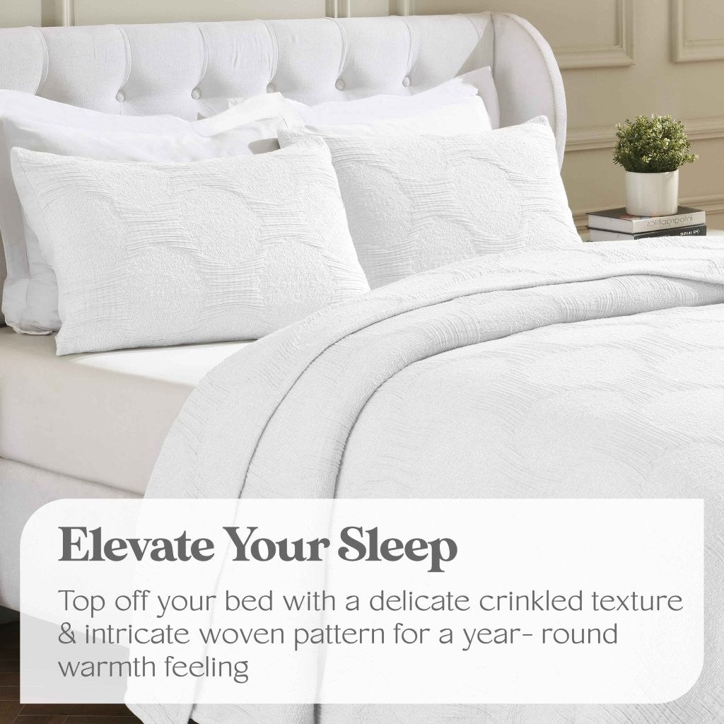 Tanta Cotton Medium Weight Textured Modern Circles Woven Coverlet - Coverlet by Superior Brand