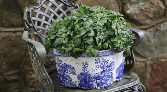 Ceramic-blue-&-white-landscape-design-13.25-inch-oval-scalloped-edge-planter-Pots-&-Planters