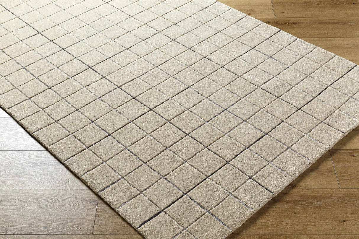 Toshi Beige Area Rug