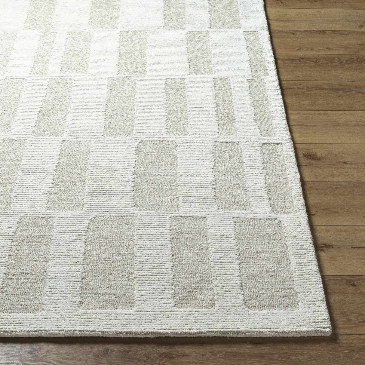 Teige Light Silver Area Rug