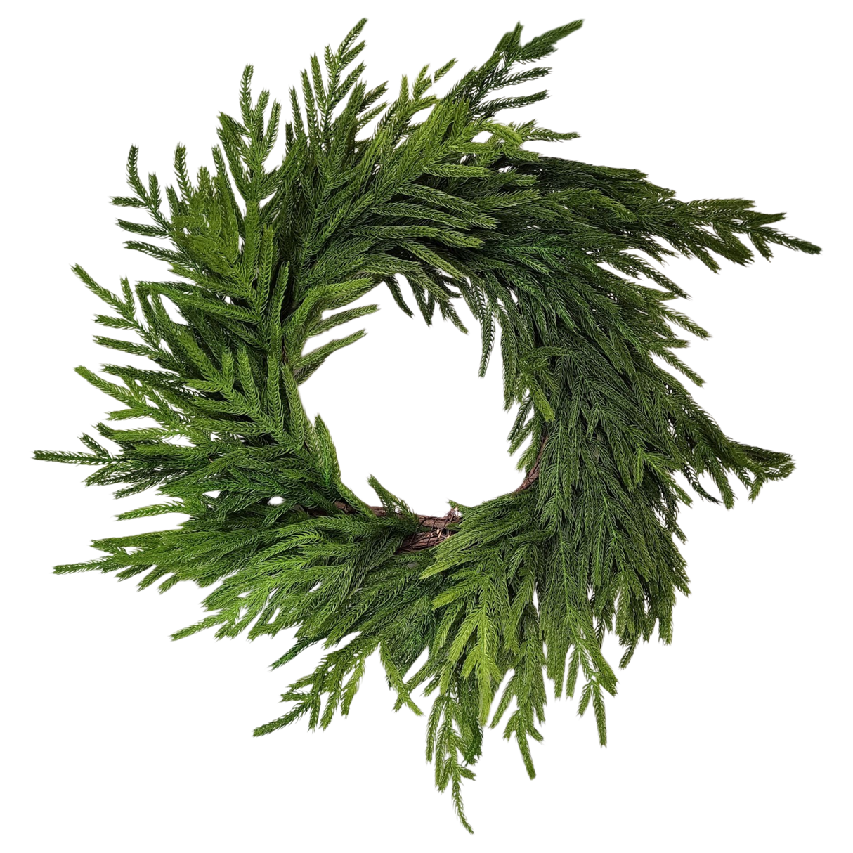 Natural Looking Lush Cedar Wreath - 24 Inches