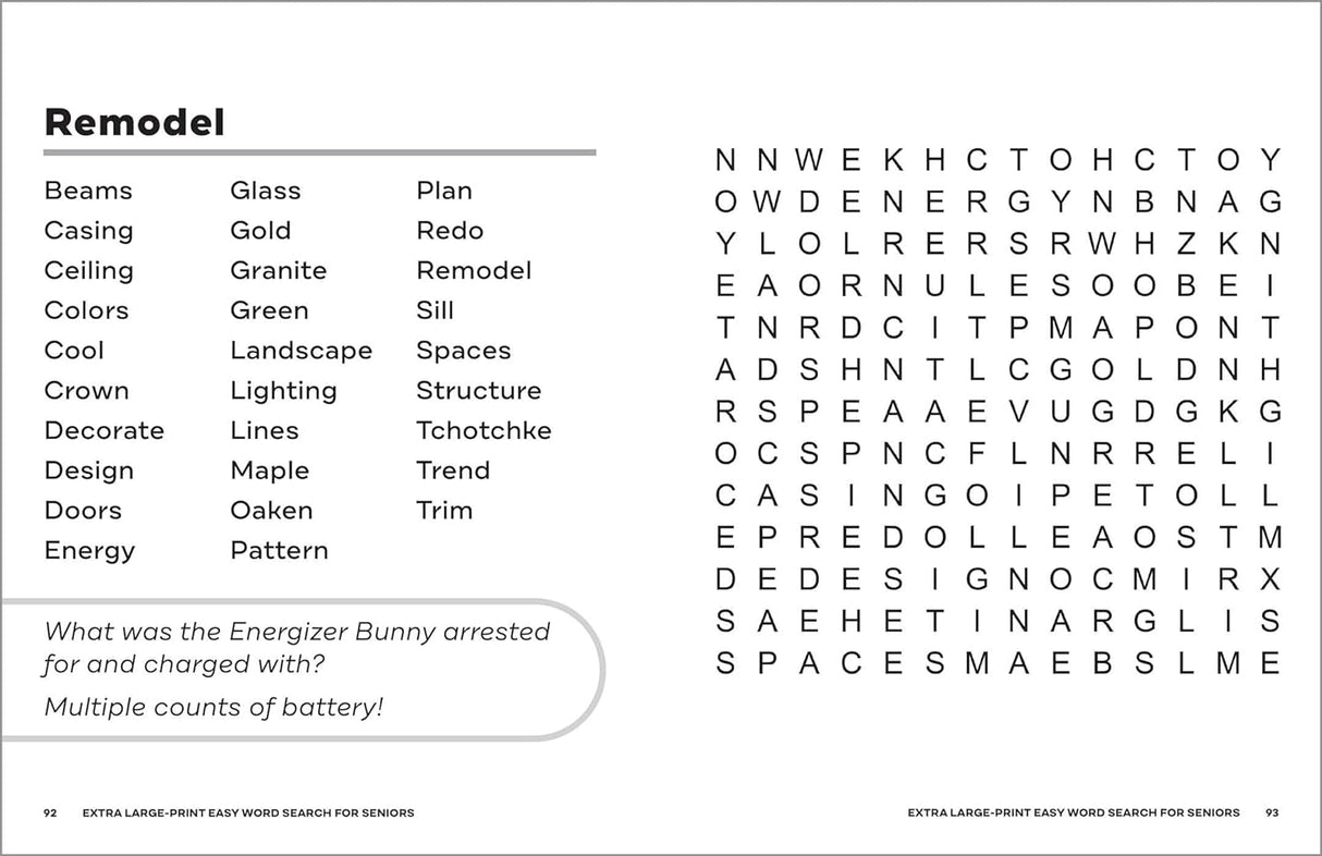 Extra Large-Print Easy Word Search for Seniors