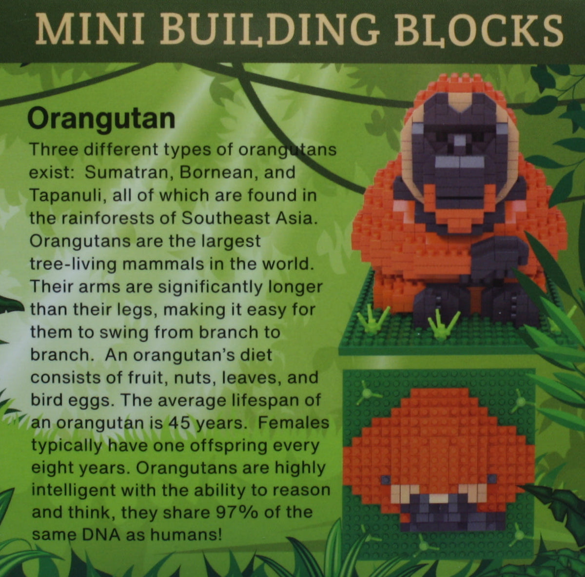 Mini Building Blocks - Orangutan