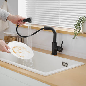 Black Kitchen Sink Faucet with Pull Down Sprayer