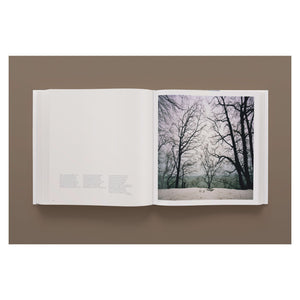 Darren Almond. Fullmoon (German, French, English)