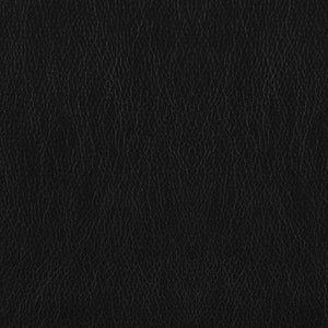 Winchell - Upholstered Padded Arm Tufted Accent Chair - Black