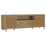 Benson - 2 Door TV Stand With Dual Drawers