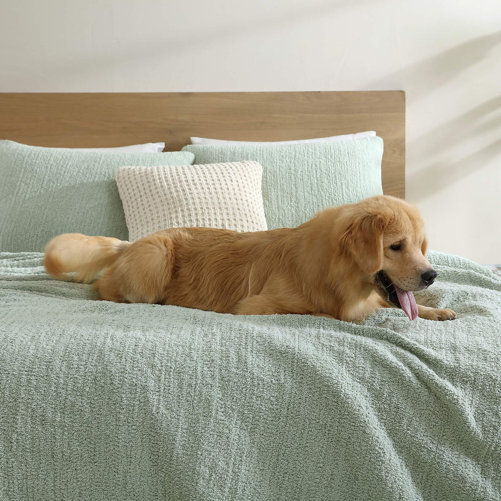 Snug + Bamboo Viscose Sham Set