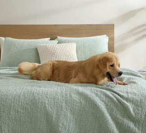 Snug + Bamboo Viscose Sham Set