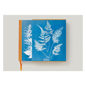 Anna Atkins. Cyanotypes (German, French, English) (FFE)