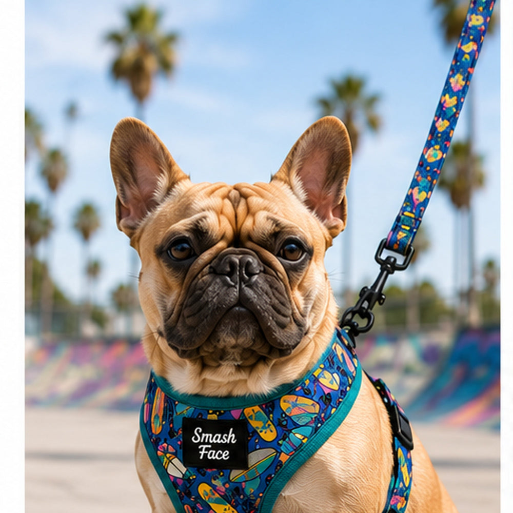 Totally Radical Reversible Dog Harness, Collar & Leash Set | Retro Gamer & Surf Skate Print | French Bulldog Harness